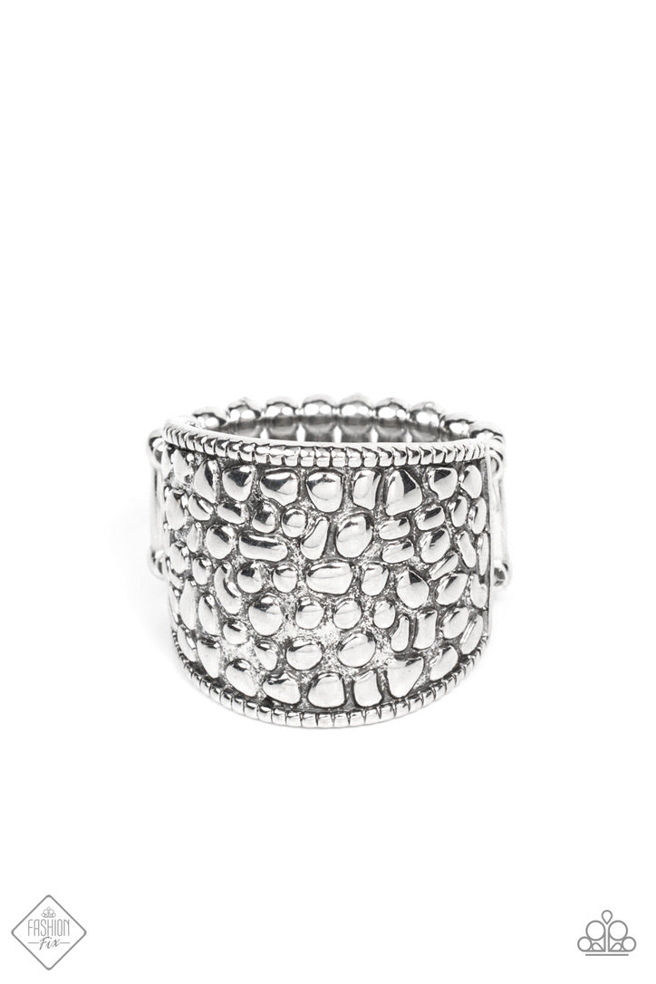 Dotted Decorum - Silver Paparazzi Accessories