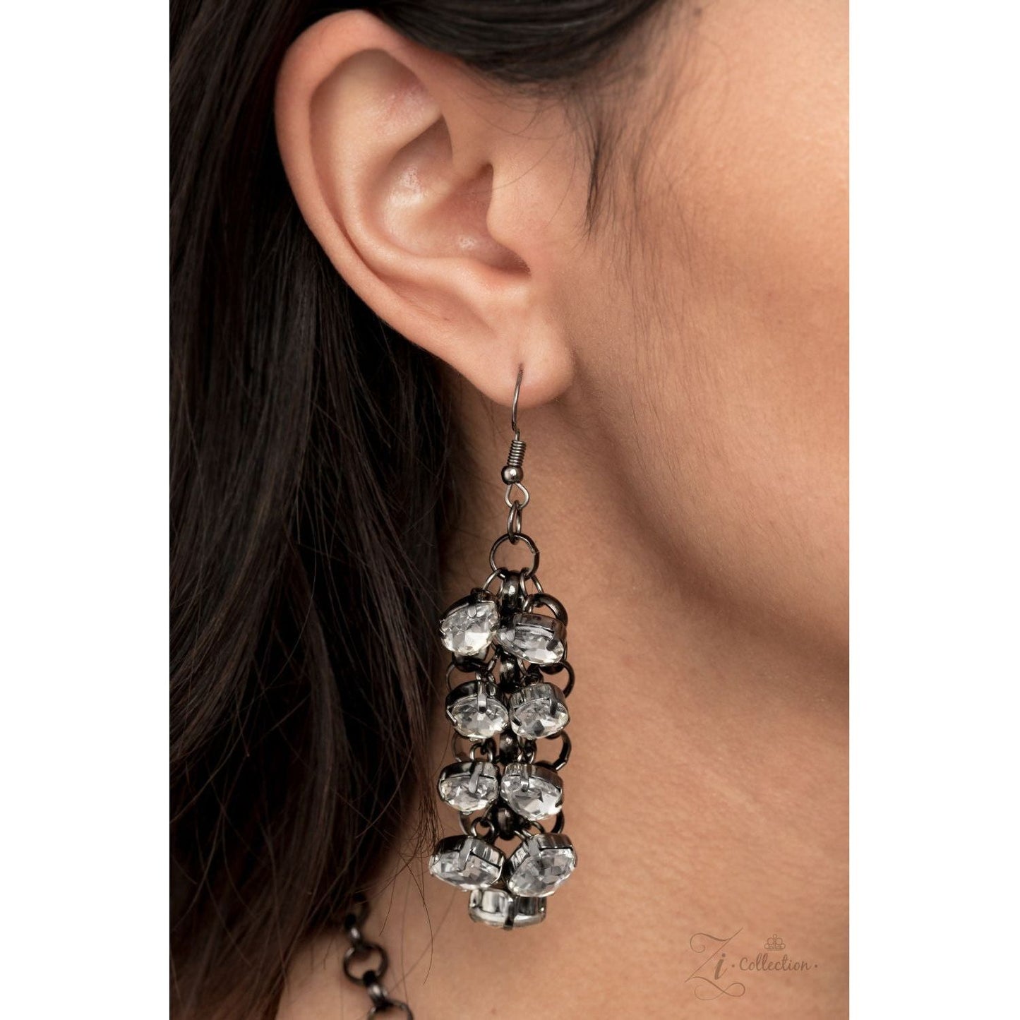 Ambitious Paparazzi Accessories